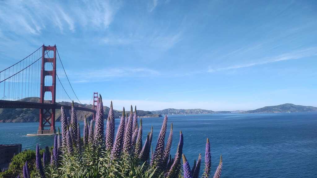 Que ver en San Francisco en 3 días