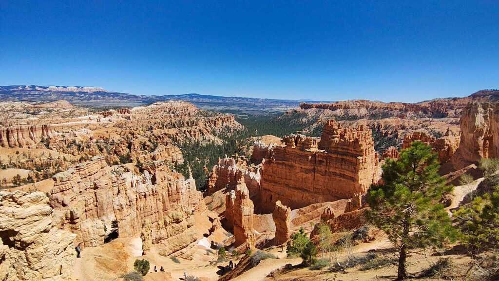 Paisaje de acantilados rojizos y carretera panorámica en el Parque Nacional Bryce durante un viaje por carretera en Estados Unidos.
